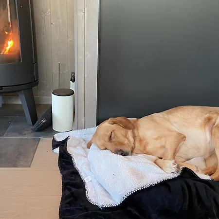 Norefjell, Ny Flott Til Leie Noresund