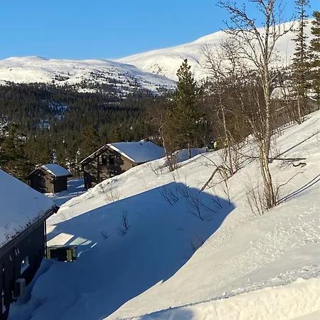 別荘 Norefjell, Ny Flott Til Leie