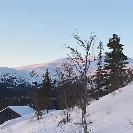 Hébergement de vacances Norefjell, Ny Flott Til Leie *