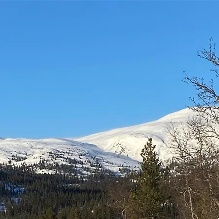 Hébergement de vacances Norefjell, Ny Flott Til Leie *