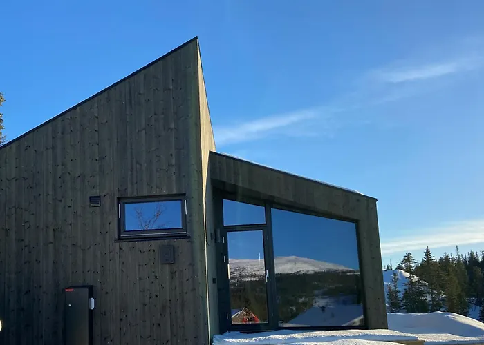 Norefjell, Ny Flott Til Leie *