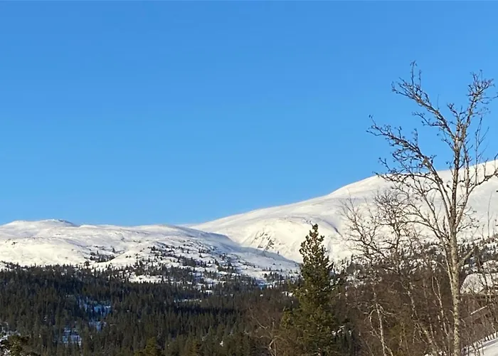 Дом отдыха Norefjell, Ny Flott Til Leie *