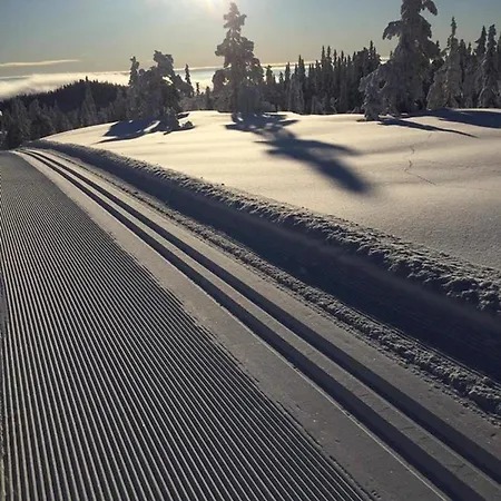 Norefjell, Ny Flott Til Leie Noresund